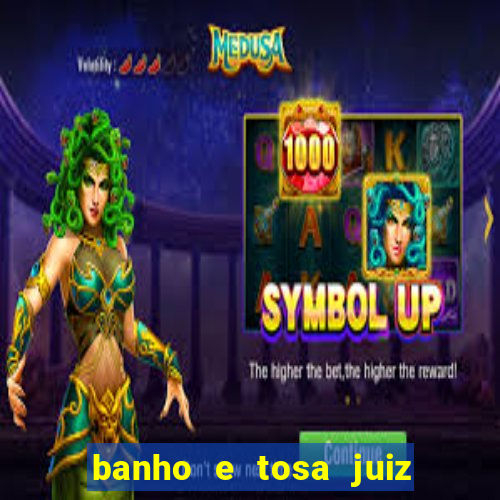 banho e tosa juiz de fora